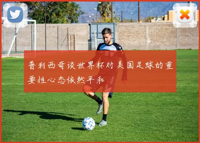 普利西奇谈世界杯对美国足球的重要性心态依然平和